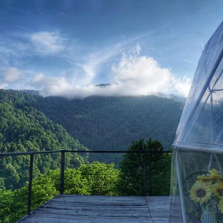 فندق Mtirala Glamping Chakvistavi المظهر الخارجي الصورة